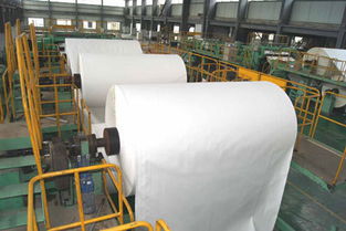 临沧南华纸业蔗渣浆纸生产有序推进